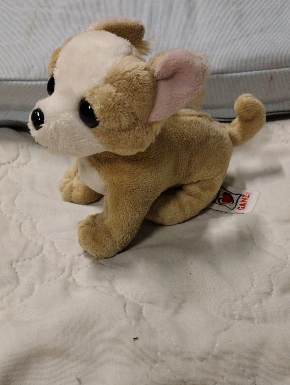GANZ Webkinz Tan & White Plush Chihuahua Small Toy